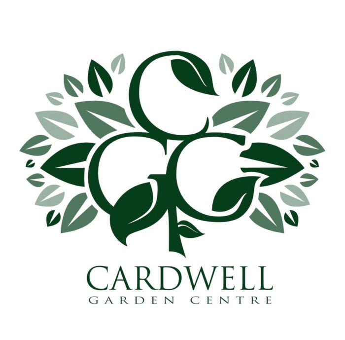 £25 Cardwell Gift Voucher