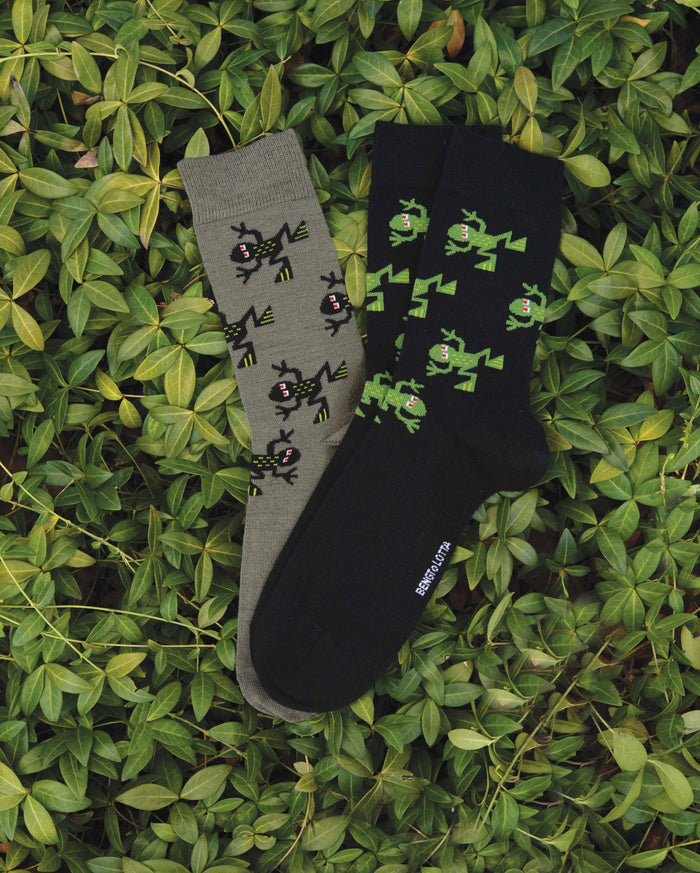 B&L Socks Frog