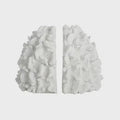Coral S/2 Bookends