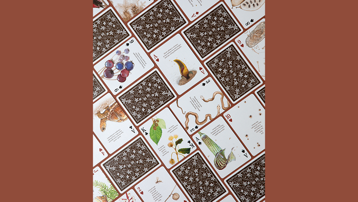 PlayingCardDecks.com-Eastern Forest Playing Cards USPCC