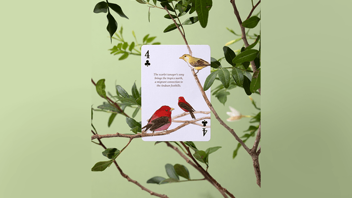 PlayingCardDecks.com-Eastern Forest Playing Cards USPCC