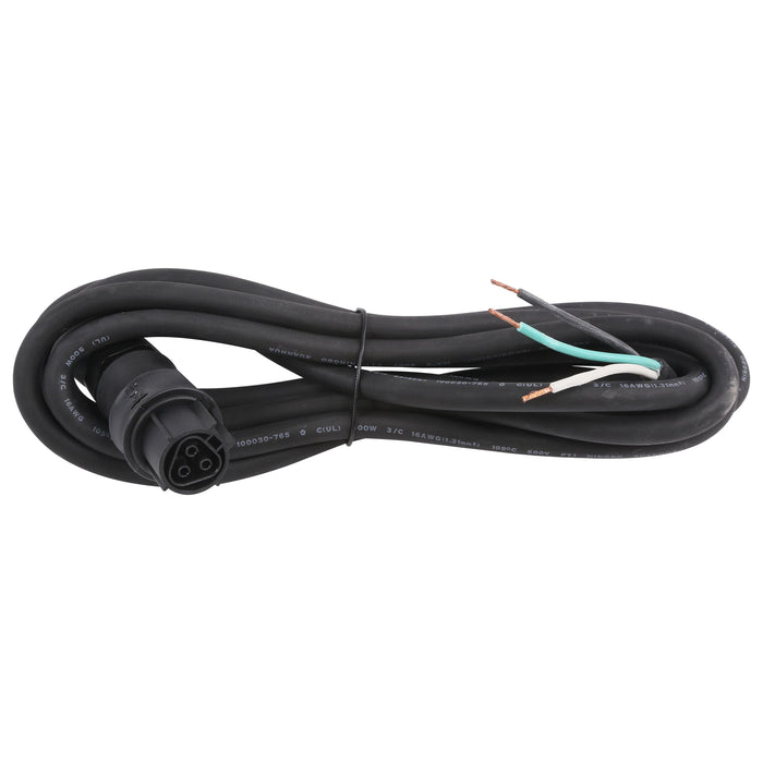 Gavita 10Ft Cord