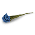 Gry & Sif Flower Cornflower
