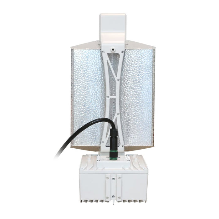 Lightspeedpro 1000W DE