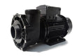 LX WP300 (3HP) - Two Speed Hot Tub Pump