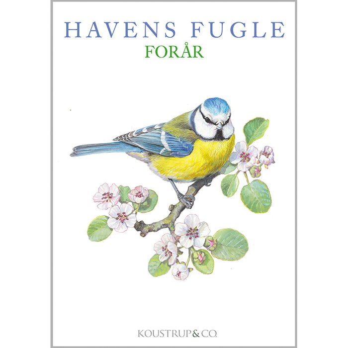Notecards Spring Garden Birds