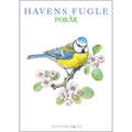 Notecards Spring Garden Birds