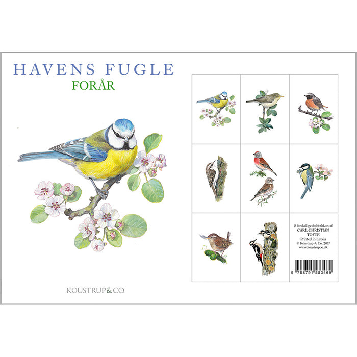 Notecards Spring Garden Birds