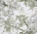 Pillowcase - King Camo Snow Cotton
