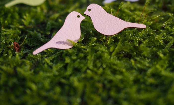 Polarsense Sielu Stud Earrings