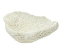 PolyResin Fungia Table Coral