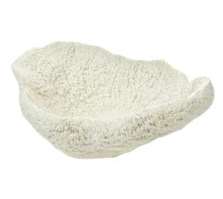 PolyResin Fungia Table Coral