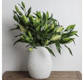 Porci Vase Tall