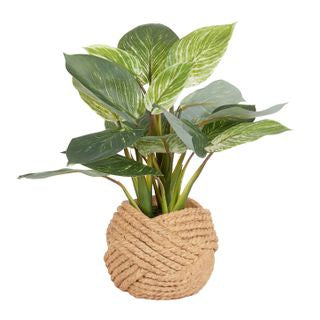 Rohdea rope pot 36cmH