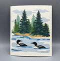 SDC Loon Lake