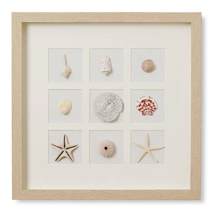 Sea Collective Art 50x50