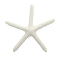 Starfish Ceramic White 18cm