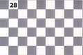 Tile Floor: Pewter & White, 1/2 In Squares (WN28)