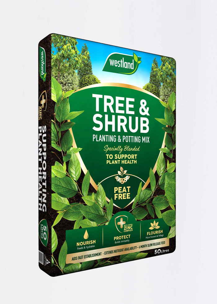 Westland Tree and Shrub Compost 50L