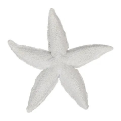 White Starfish 20cm
